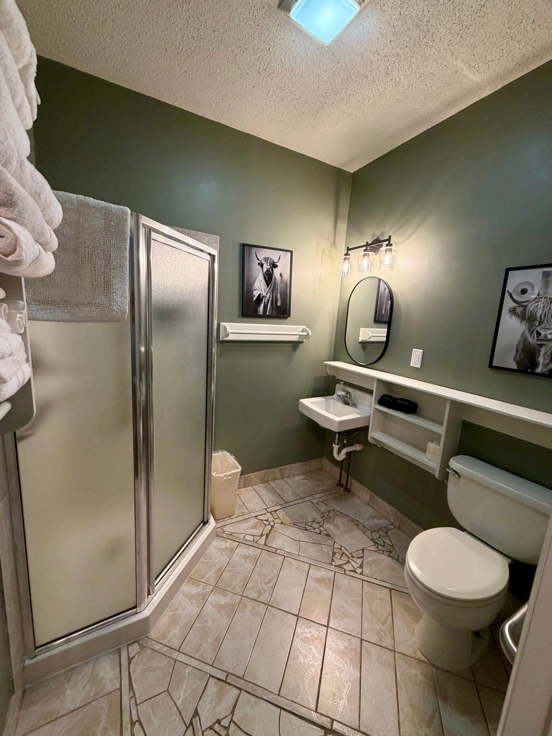 A small bathroom with a corner shower, toilet, sink, mirror, animal-themed wall art, towels on a rack, and light fixture above the mirror.